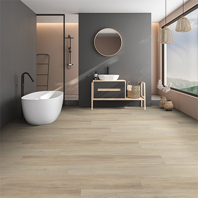 wood flooring in bathroom with Benjamin Moore Silhouette Walls