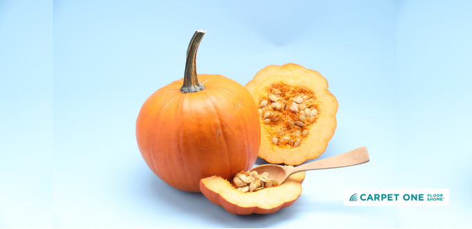 pumpkin with pumpkin guts
